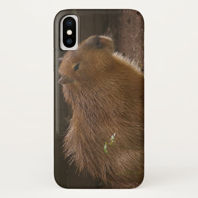 Funda De Case-Mate Para iPhone Estuche para iPhone para Funda-Mate de Capybara (Reverso)