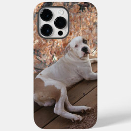 Funda Para iPhone 14 Pro Max De Case-Mate Estuche para iPhone Pitbull Porch Dog