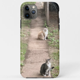 Funda Para iPhone 11 Pro Max Estuche para teléfono de gato
