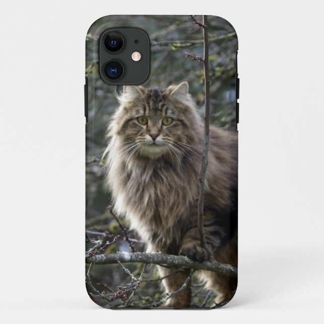 Funda De Case-Mate Para iPhone Estuche para teléfono de Mascota Maine Coon (Reverso)
