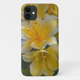 Funda Para iPhone 11 Estuche para teléfono floral de Lily dorada amaril