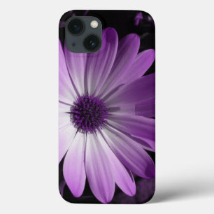 title_seo2 Estuche Purple Daisy Flower iPad