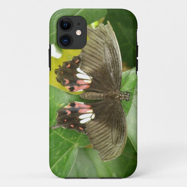 Funda De Case-Mate Para iPhone Estuche Scarlet Swallowtail Butterfly para iPhone (Reverso)