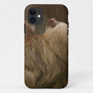 Funda Para iPhone 11 Estuche Sloth Funda-Mate para iPhone