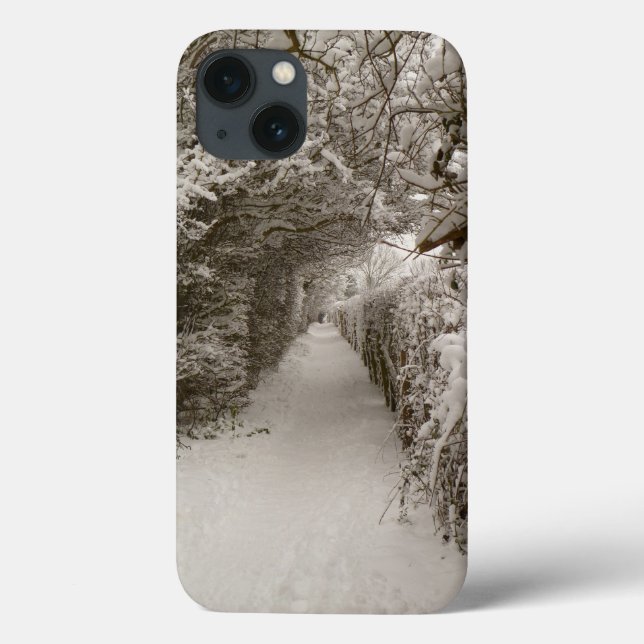 Funda De Case-Mate Para iPhone Estuche Snowy Path para iPad Air (Reverso)