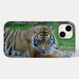 Funda Para iPhone 14 De Case-Mate Estuche Tiger's Gaze iPhone / iPad