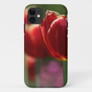 Funda Para iPhone 11 Estuche Tulip Phone