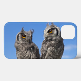 Funda Para iPhone 13 Estuche Twins iPad