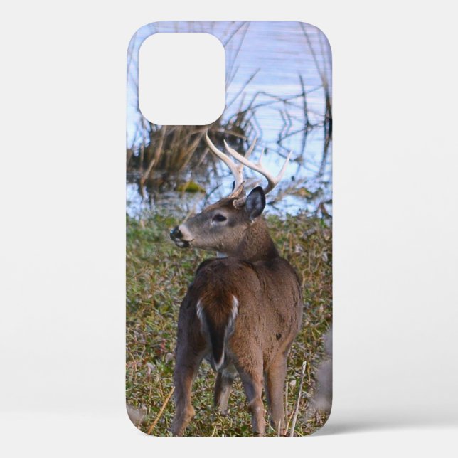 Funda De Case-Mate Para iPhone Estuche Whitetail Buck para iPhone / iPad (Reverso )
