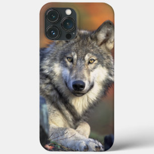 Funda Para iPhone 13 Pro Max Estuche Wolf Wisdom para iPhone / iPad