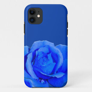 title_seo2 Estuches para iPhone de Rosa azul para iPhone 5 Ro