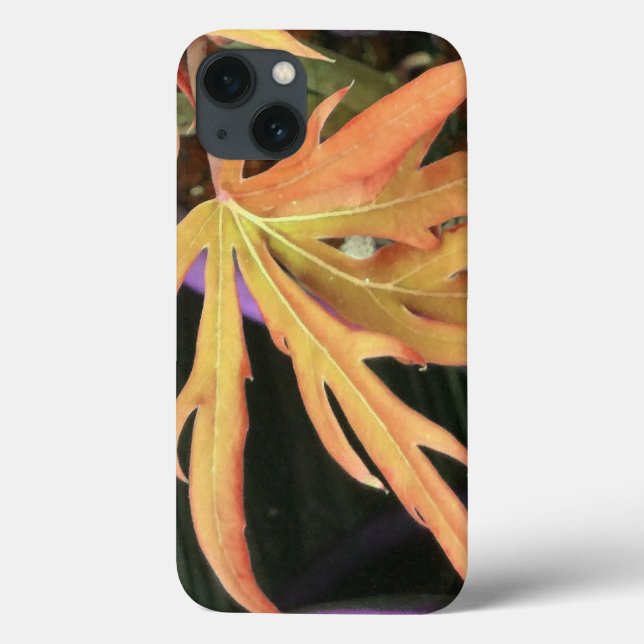 Funda De Case-Mate Para iPhone Estudio de hoja 2 (Reverso)