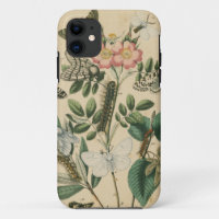 Etapas de la vida de mariposas por Vision Studio