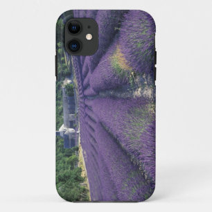 Funda Para iPhone 11 Europa, Francia, Provenza. Campos de lavanda