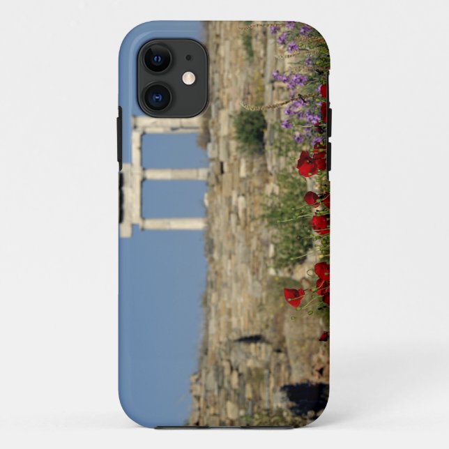Funda De Case-Mate Para iPhone Europa, Grecia, Cícladas, Delos. Ruinas de columna (Reverso)