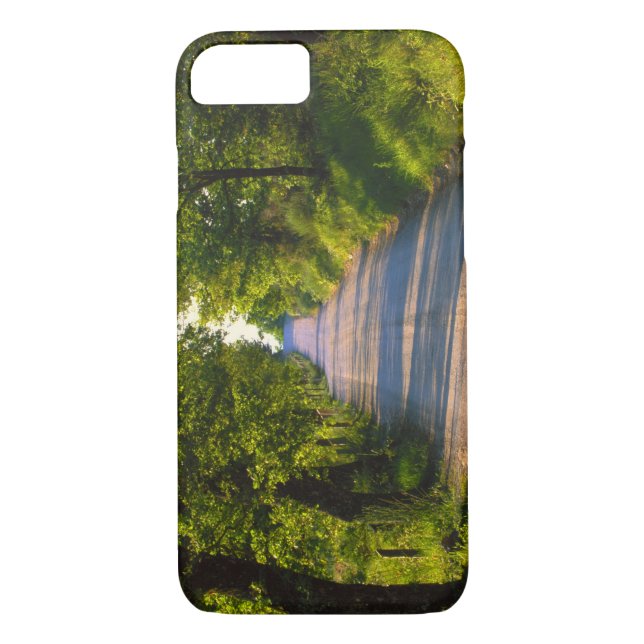 Funda De Case-Mate Para iPhone Europa, Italia, Toscana, carretera arbolada (Reverso)