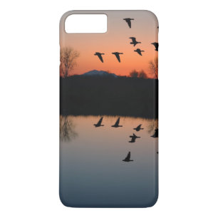 title_seo2 Evening Geese