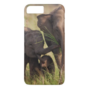 Funda Para iPhone 8 Plus/7 Plus Familia de elefantes asiáticos indios en la sabana