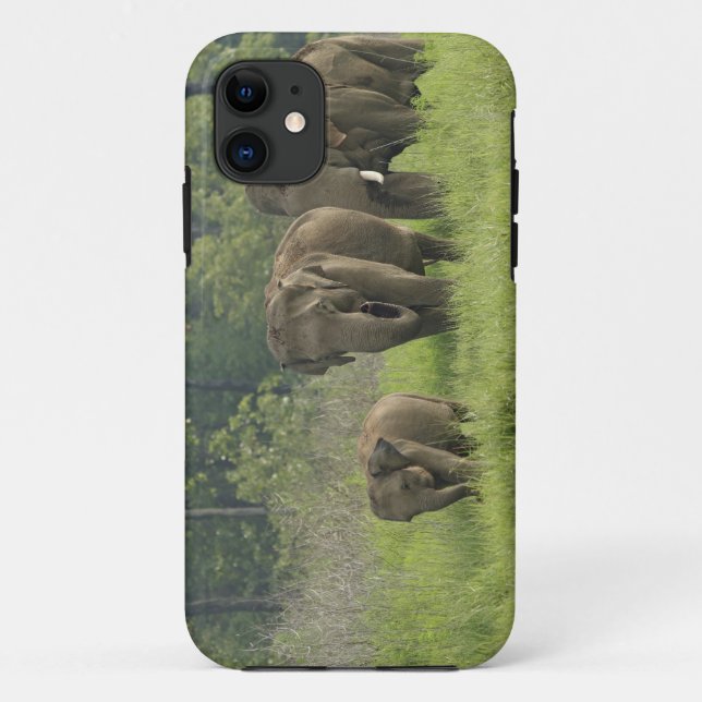 Funda De Case-Mate Para iPhone Familia de elefantes indios (Reverso)