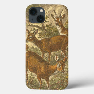 Funda Para iPhone 13 Familia de Roe - Deers en un bosque