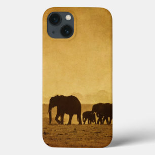 title_seo2 Familia del elefante