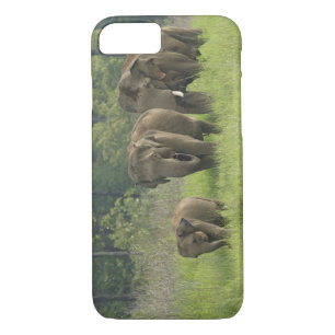 Funda Para iPhone 8/7 Familia elefante india