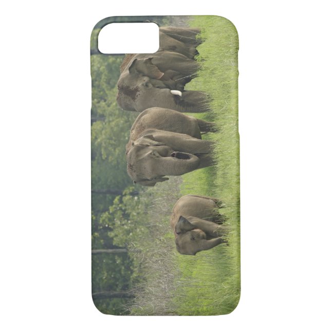 Funda De Case-Mate Para iPhone Familia elefante india (Reverso)
