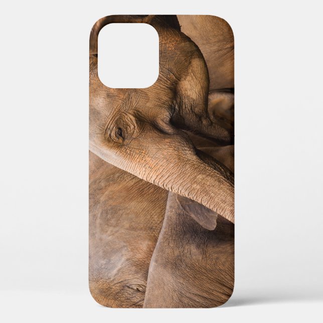 Funda De Case-Mate Para iPhone Familia Elefante: Vida silvestre majestuosa (Reverso )