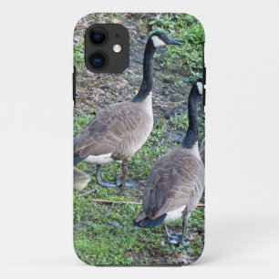 Funda Para iPhone 11 Familia Geese de Canadá