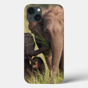 Funda Para iPhone 13 Familia india del elefante asiático en la sabana