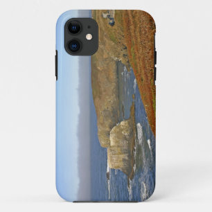 Funda Para iPhone 11 Faro Yaquina Head en Newport Oregon