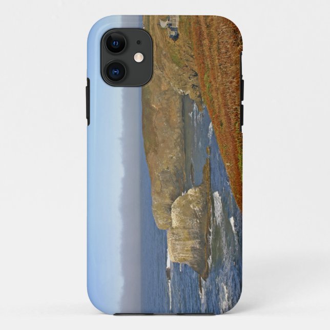 Funda De Case-Mate Para iPhone Faro Yaquina Head en Newport Oregon (Reverso)