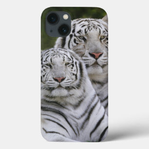 Funda Para iPhone 13 Fase blanca, Tigre de Bengala, Tigris