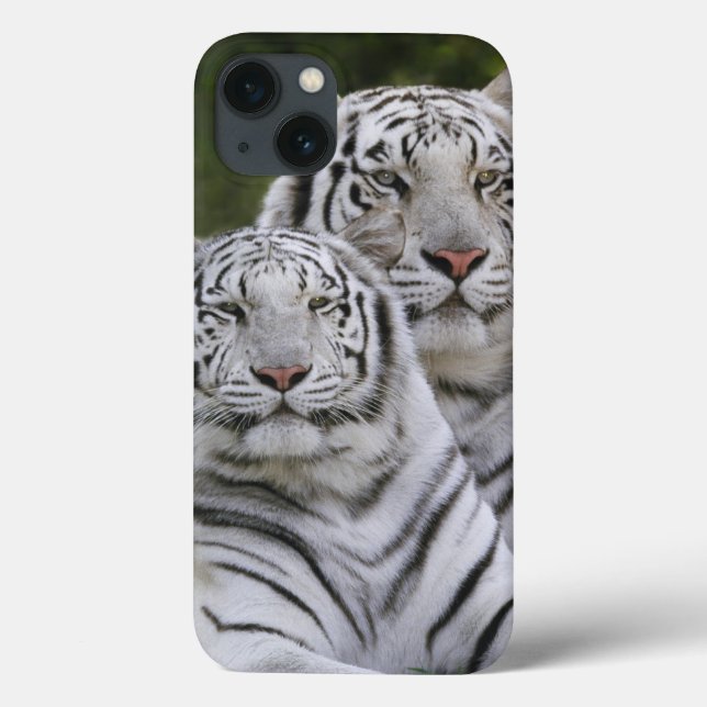 Funda De Case-Mate Para iPhone Fase blanca, Tigre de Bengala, Tigris (Reverso)