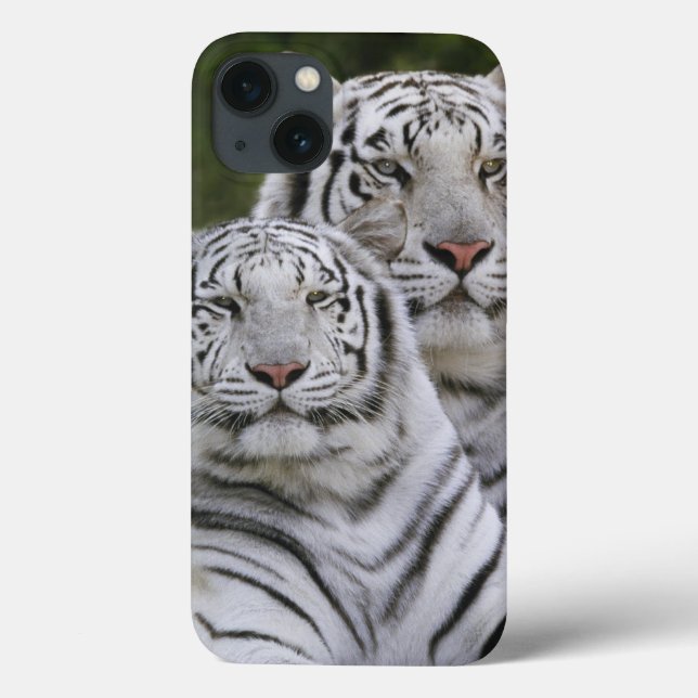 Funda De Case-Mate Para iPhone Fase blanca, Tigre de Bengala, Tigris (Reverso)