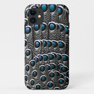 title_seo2 Feathers Gray Peacock