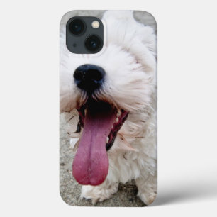 Funda Para iPhone 13 Feliz perro blanco cachorro, malteés, maltipoo.