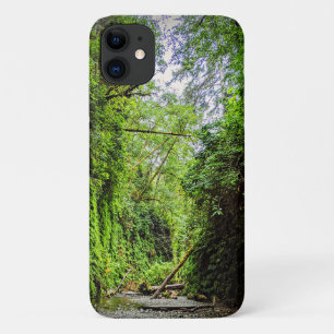 Funda Para iPhone 11 Fern Canyon Green Walls en el Parque Nacional de l