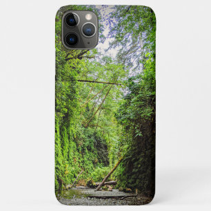 Funda Para iPhone 11 Pro Max Fern Canyon Green Walls en el Parque Nacional de l