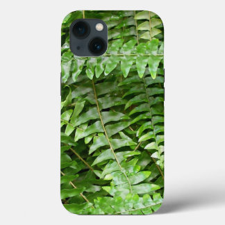 title_seo2 Fern Fronds I Green Nature