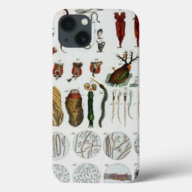 Funda De Case-Mate Para iPhone Ficha Organismos microorganismos para la biología  (Reverso)