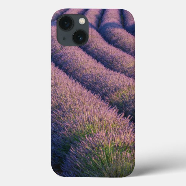 Funda De Case-Mate Para iPhone Filas de lavanda en Provenza (Reverso)