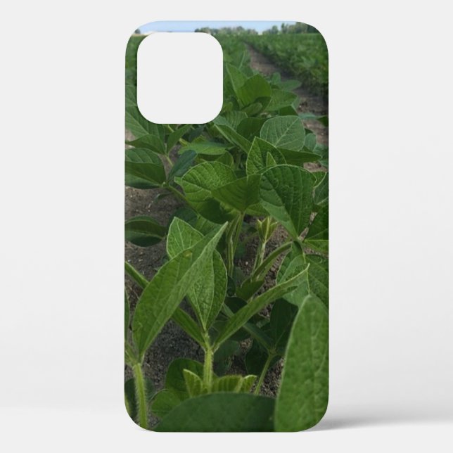 Funda De Case-Mate Para iPhone Filas de soja cultivando cultivos agrícolas (Reverso )