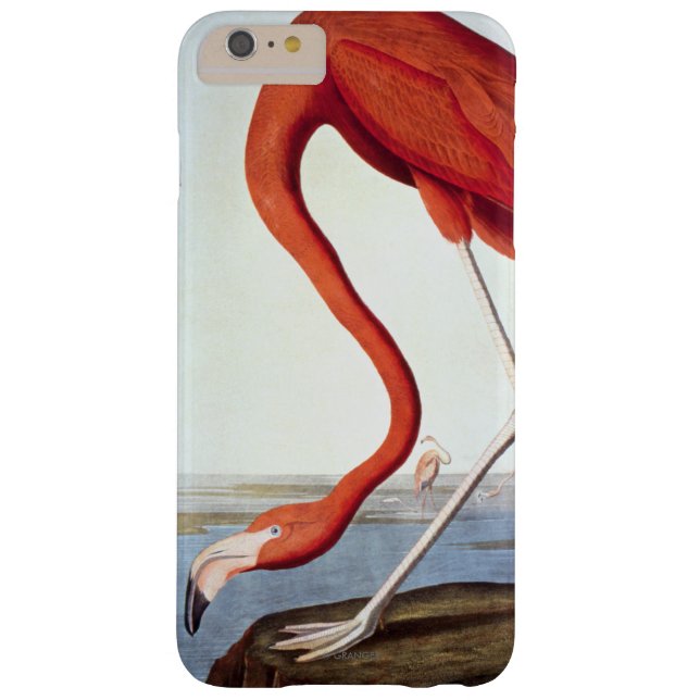 Funda De Case-Mate Para iPhone Flamenco americano (Reverso)