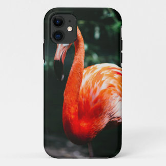 Funda Para iPhone 11 Flamingo