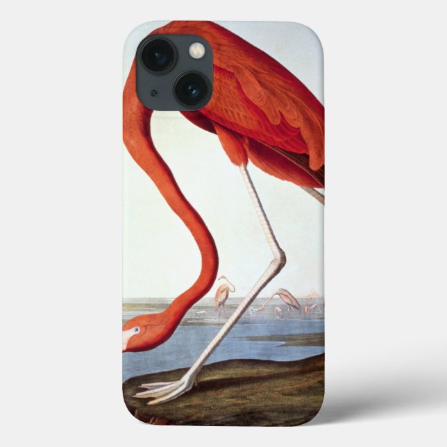 Funda De Case-Mate Para iPhone Flamingo americano (Reverso)