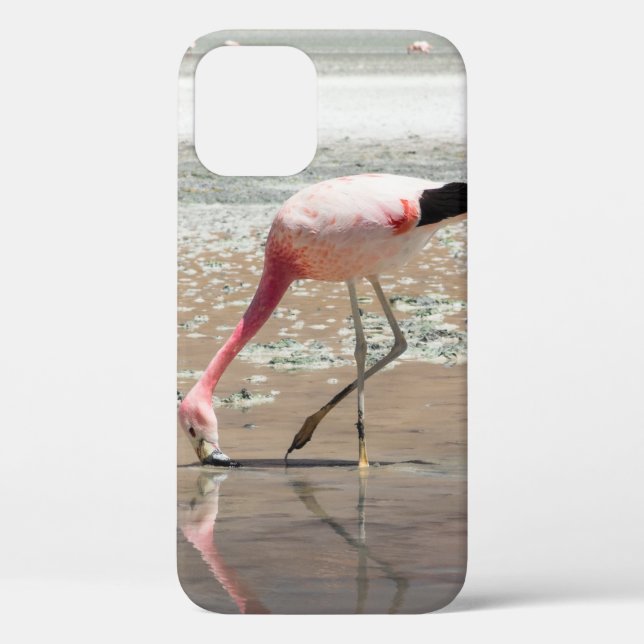 FUNDA DE Case-Mate PARA iPhone FLAMINGO ROSA EN EL CUERPO DEL AGUA (Reverso )
