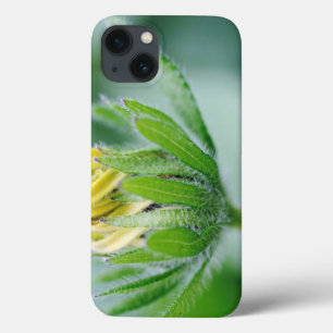 Funda Para iPhone 13 Flor De Apertura De La Flor De Cono