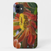 flor de crisantemo