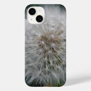 title_seo2 Flor de Dandelion con semilla